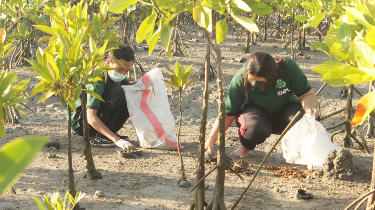 Cleaning Plastic Remnants in Mangrove Roots in a series of World Earth Day (WEDA) 2022 Events