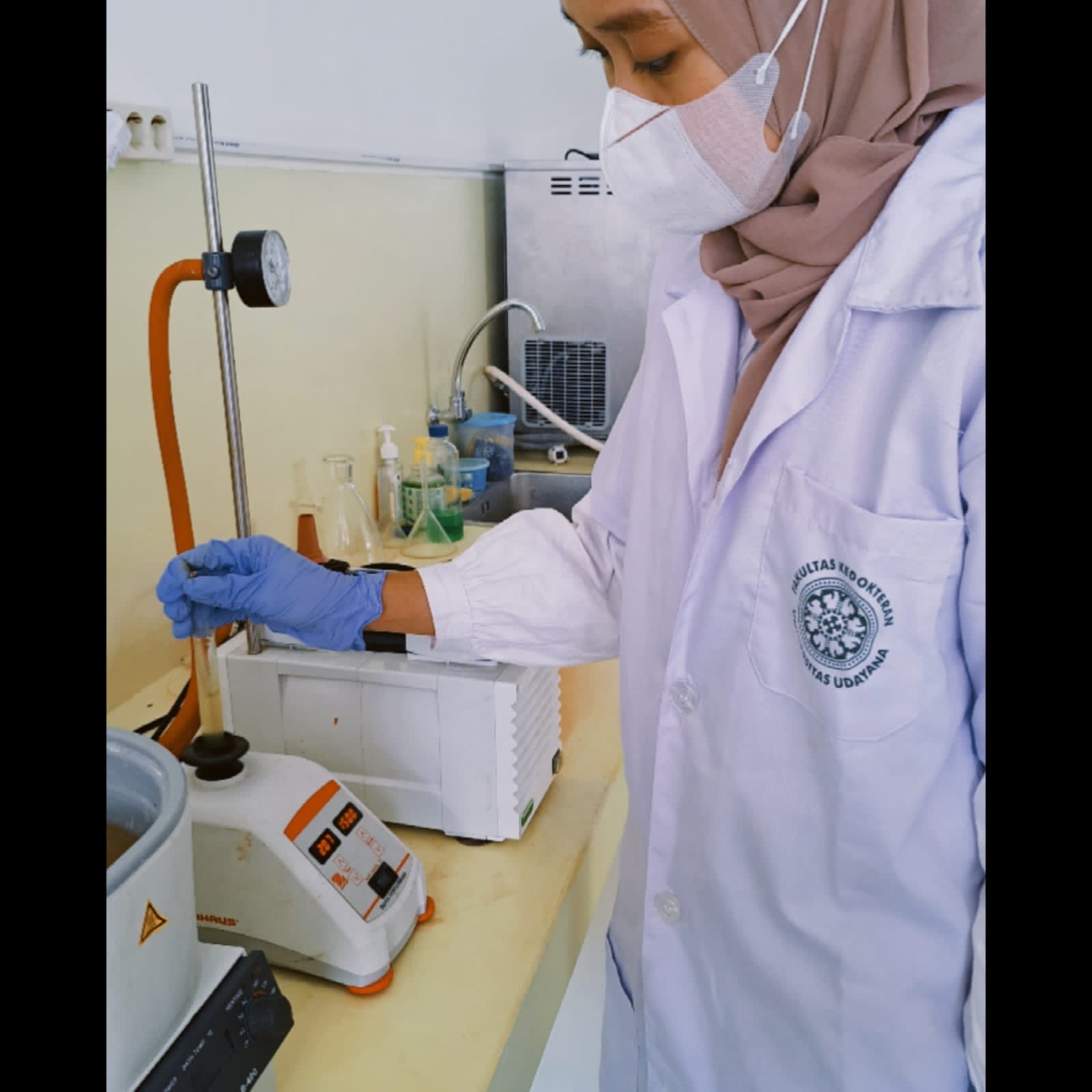 FK Unud Student Creativity Program for Exact Research (PKM-RE) Team Tests the Effectiveness of Seagrass Seed Extract for Cholesterol Reduction & nbsp;