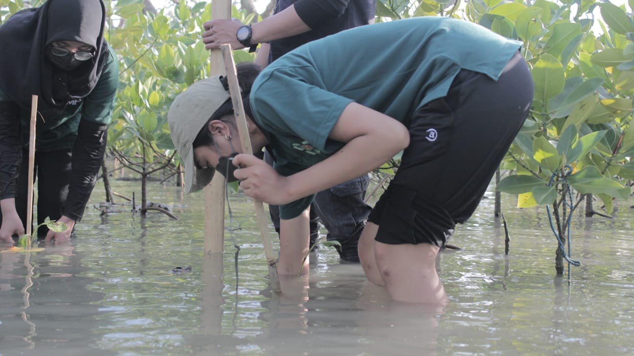 Mangrove Planting in commemoration of World Earth Day (WEDA) 2022