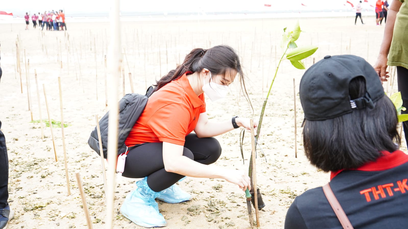 Orthopedic and Traumatology Study Program Commemorates Indonesian Independence Day with Mangrove Planting